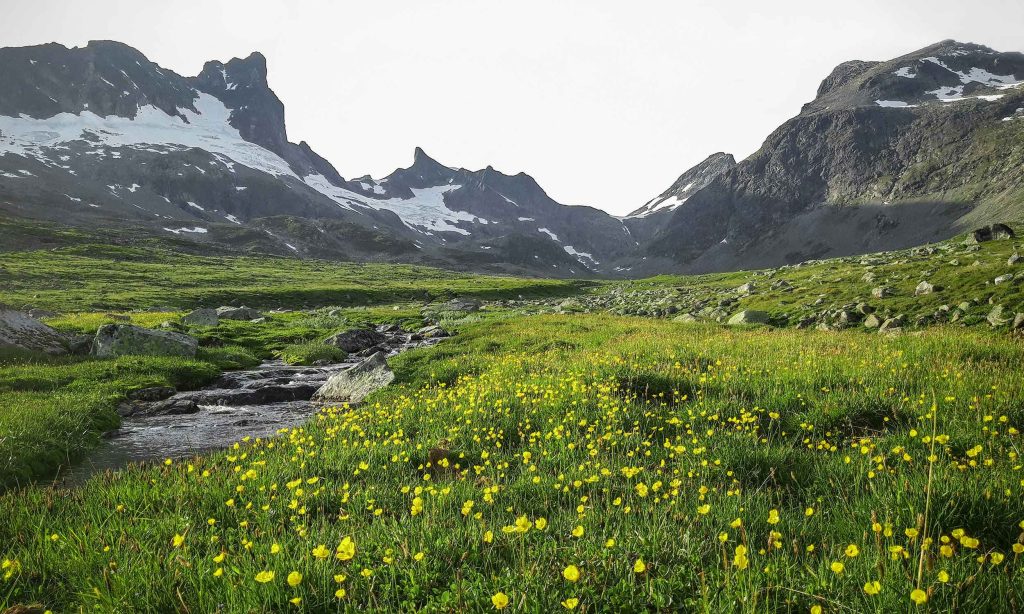 Jotunheimen 1