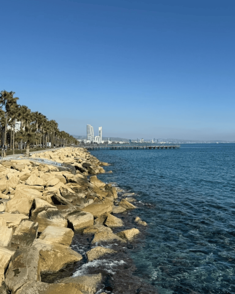 Strandblick in limassol